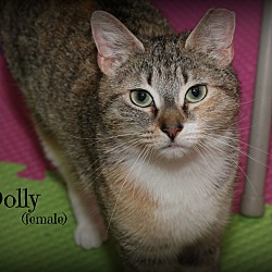 Thumbnail photo of Dolly #3