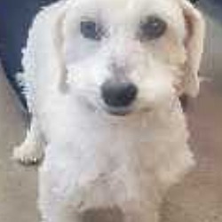 Photo of Chloe