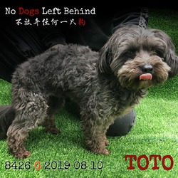 Photo of TOTO8426