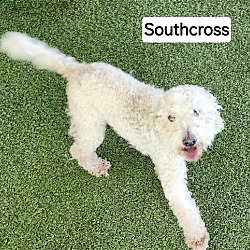 Thumbnail photo of Southcross #3