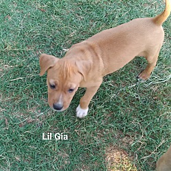 Thumbnail photo of Little Gia #2