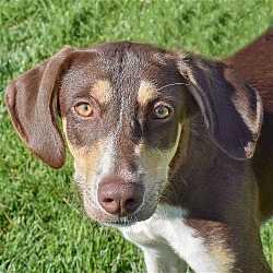 Photo of Colate