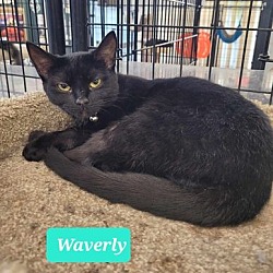 Photo of Waverly-Sponsored