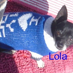 Thumbnail photo of Lolita #4