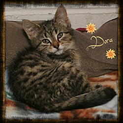 Thumbnail photo of Dora #1