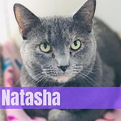 Photo of Natasha
