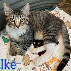 Thumbnail photo of ELKE & HANNA - Great Family Pair #3