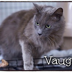 Thumbnail photo of Vaughn #2