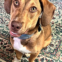 Photo of Charlie