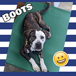Photo of Boots