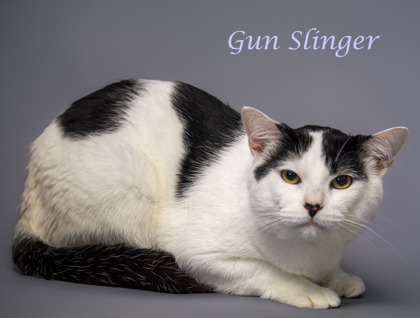 Photo of Gun Slinger (C24-114)
