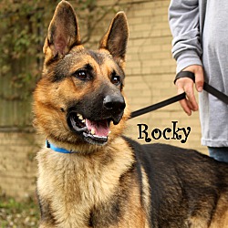 Thumbnail photo of Rocky Balboa ~meet me! #2