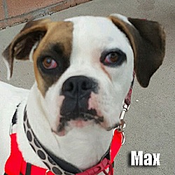 Thumbnail photo of Max #1