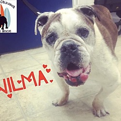 Thumbnail photo of Wilma #2
