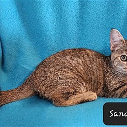 Photo of Sandie YOUNG FEMALE