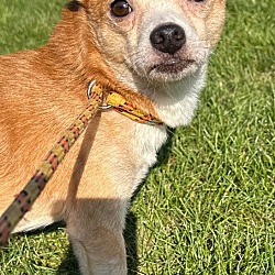 Photo of COOKIE