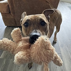Photo of Bonney