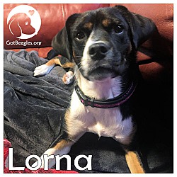 Thumbnail photo of Lorna #1
