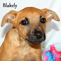 Thumbnail photo of Blakely ~ meet me! #3