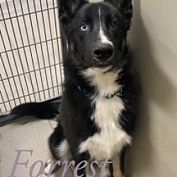 Photo of Forrest 122503