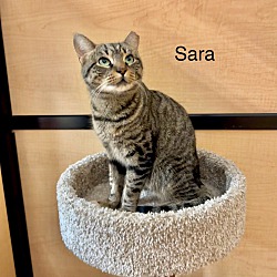 Photo of Sara