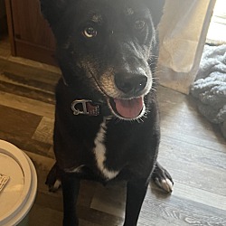 Photo of Blue