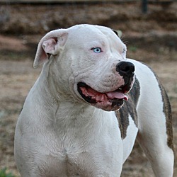 Photo of Jewel
