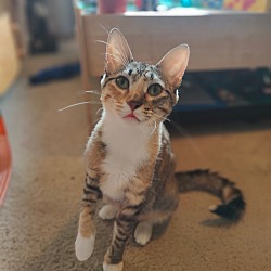 Photo of Jewel