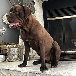 Photo of Zeus