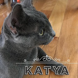 Thumbnail photo of Katya #2