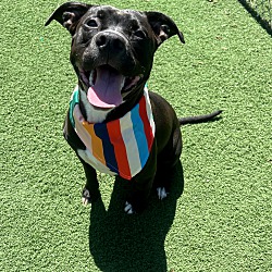 Photo of Nala