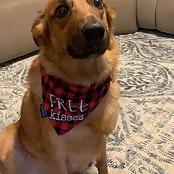 Photo of Kaiser 