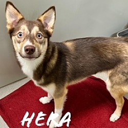 Photo of Hera 29040