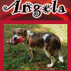 Thumbnail photo of Angela #1