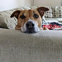 Photo of Mandy