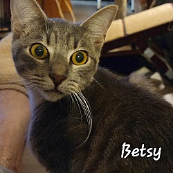 Photo of BETSY