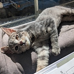 Photo of Tallie