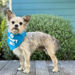 Photo of Riley