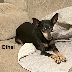 Thumbnail photo of Ethel SCP #1