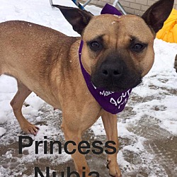 Thumbnail photo of Princess Nubia #1