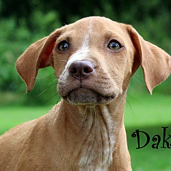 Thumbnail photo of Dakota ~ meet me! #1
