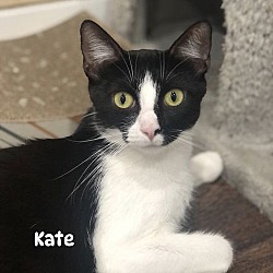 Thumbnail photo of Kate #3