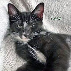 Thumbnail photo of Cash #2