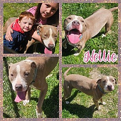 Thumbnail photo of Nellie #1