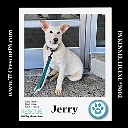 Thumbnail photo of Jerry (Cartoon Cuties) 032324 #1