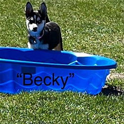 Thumbnail photo of Becky #4