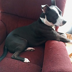 Photo of Rylee