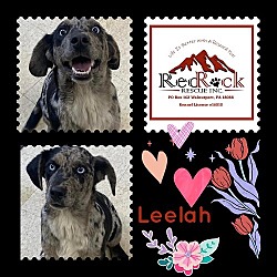 Thumbnail photo of Leelah #1