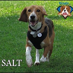 Thumbnail photo of Salt #2