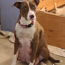 Photo of Lola